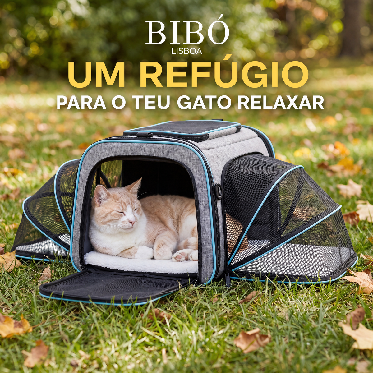 Mala de transporte expansível para gatos