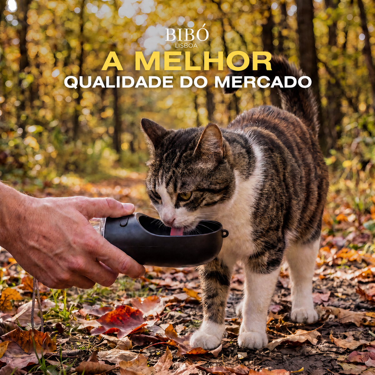 Garrafa de água portátil para gatos