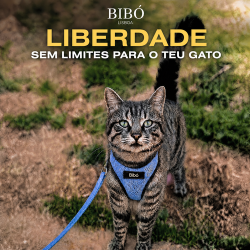 Arnês e Trela para Gatos à Prova de Fuga