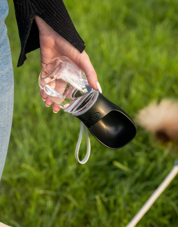 Garrafa de água portátil para gatos